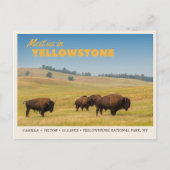 Yellowstone Nationalpark Save the Date Postcard Postkarte (Vorderseite)