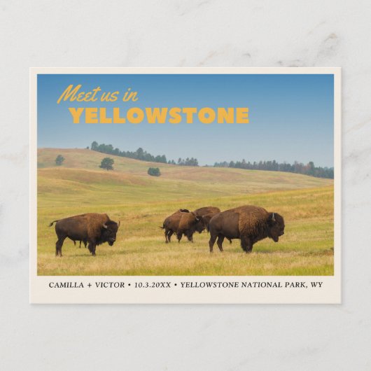 Yellowstone Nationalpark Save the Date Postcard Postkarte (Vorderseite)