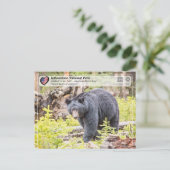 Yellowstone Nationalpark - Schwarzer Bär Postkarte (Stehend Vorderseite)
