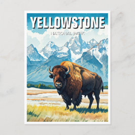 Yellowstone Nationalpark Souvenir Postkarte