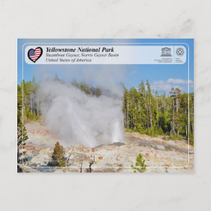 Yellowstone Nationalpark - Steamboat Geyser Postkarte