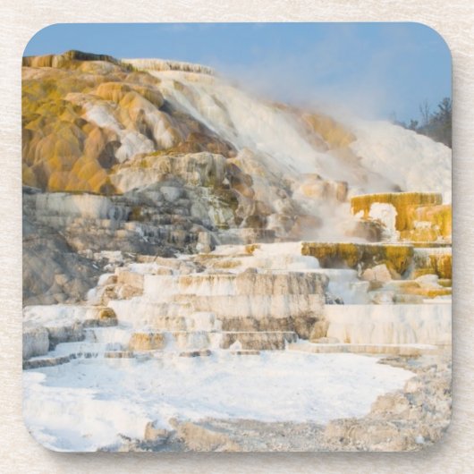 Yellowstone Nationalpark Untersetzer (Vorderseite)