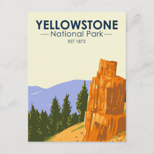 Yellowstone Nationalpark versteinerte Bäume Vintag Postkarte