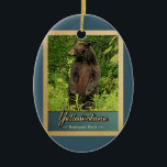 Yellowstone Nationalpark Vintager Bär Keramik Ornament<br><div class="desc">Vintage Reise-Ornament Yellowstone Nationalpark Bild mit einem schwarzen Bär stehend auf seinen Hinterbeinen,  Blick in den grünen Wald.</div>
