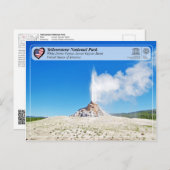 Yellowstone Nationalpark - White Dome Geyser Postkarte (Vorne/Hinten)