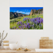 Yellowstone Nationalpark Wildblumen Landschaft Poster (Küche)