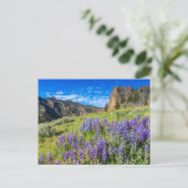Yellowstone Nationalpark Wildblumen Landschaft Postkarte (Stehend Vorderseite)