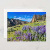 Yellowstone Nationalpark Wildblumen Landschaft Postkarte (Vorne/Hinten)