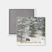 Yellowstone Nationalpark, WY Magnet (Vorderseite/Rückseite)