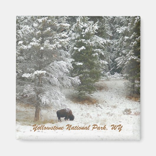 Yellowstone Nationalpark, WY Magnet (Vorne)