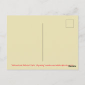 Yellowstone Nationalpark Wyoming Postkarte (Rückseite)