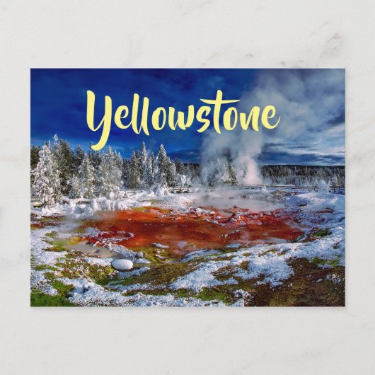 Yellowstone Nationalpark Wyoming Postkarte (Vorderseite)