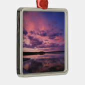 Yellowstone Nationalpark, Wyoming. USA. Silbernes Ornament (Rechts)