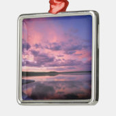 Yellowstone Nationalpark, Wyoming. USA. Silbernes Ornament (Links)