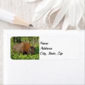 Yellowstone-Nationalparkadresse (Insitu)