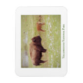 Yellowstone Nationalparkmagnet mit Bison & Kalb Magnet (Vertikal)