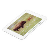 Yellowstone Nationalparkmagnet mit Bison & Kalb Magnet (Linke Seite)