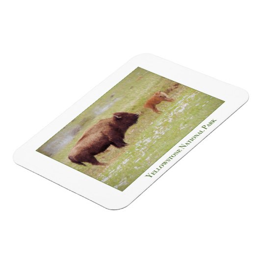 Yellowstone Nationalparkmagnet mit Bison & Kalb Magnet (Linke Seite)
