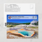 Yellowstone NP - Herzenfrühling und Löwengeyser Postkarte (Vorne/Hinten)