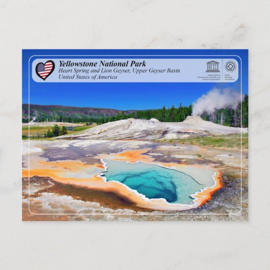 Yellowstone NP - Herzenfrühling und Löwengeyser Postkarte (Vorderseite)