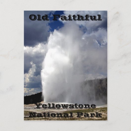 Yellowstone Old Faithful Postcard Postkarte (Vorderseite)