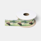 Yellowstone-Park-Bison Satinband (Spule)
