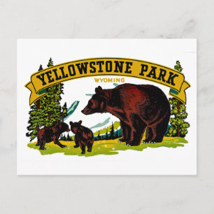 Yellowstone Park Postkarte