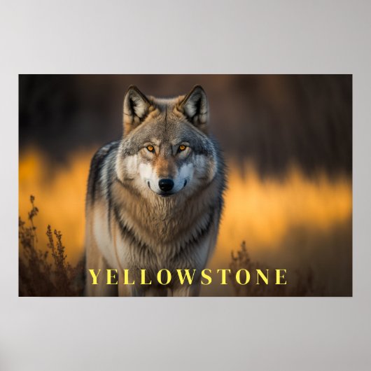 Yellowstone Poster Art (Vorne)