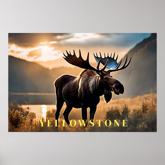 Yellowstone Poster Art (Vorne)