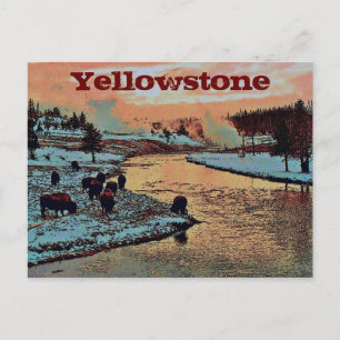 Yellowstone Postkarte