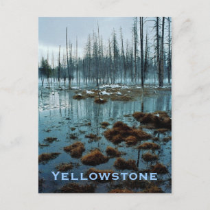 Yellowstone Postkarte