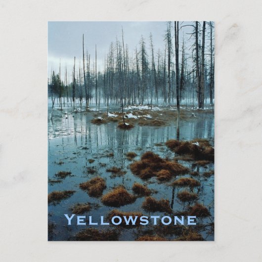 Yellowstone Postkarte (Vorderseite)