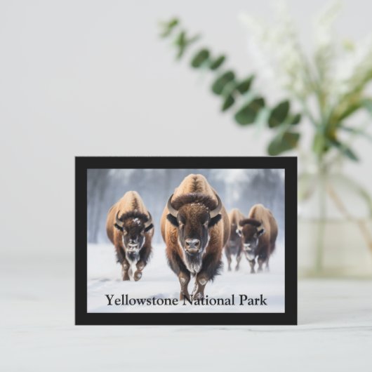 Yellowstone Postkarte (Stehend Vorderseite)