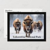 Yellowstone Postkarte (Vorne/Hinten)