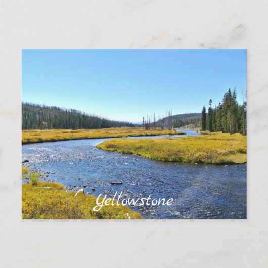 Yellowstone-Postkarte Postkarte (Vorderseite)