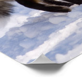 Yellowstone Red Fox Poster (Ecke)