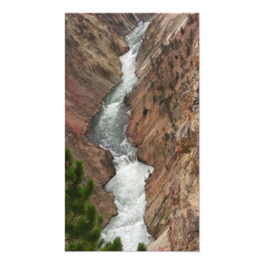 Yellowstone River Foto Print (Vorne)