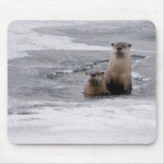 Yellowstone River Otter Mousepad