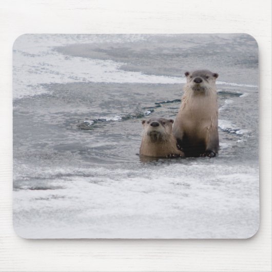 Yellowstone River Otter Mousepad (Vorne)