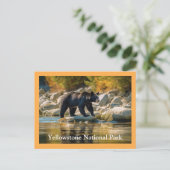 Yellowstone Schwarzbär Postkarte (Stehend Vorderseite)