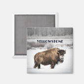 Yellowstone Snowy Buffalo Magnet (Vorderseite/Rückseite)