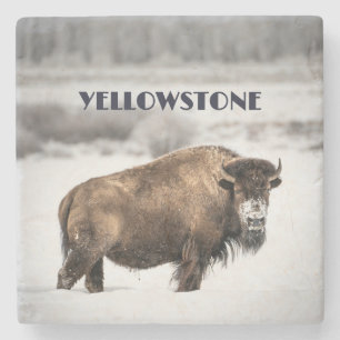 Yellowstone Snowy Buffalo Souvenir Untersetzer