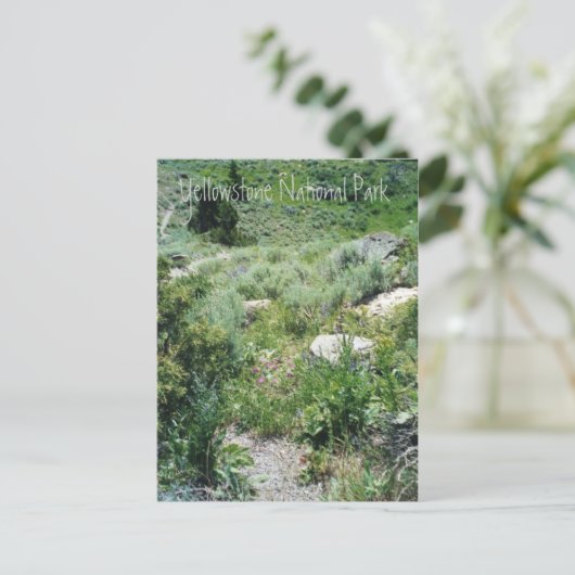 Yellowstone Sommer Postkarte (Stehend Vorderseite)
