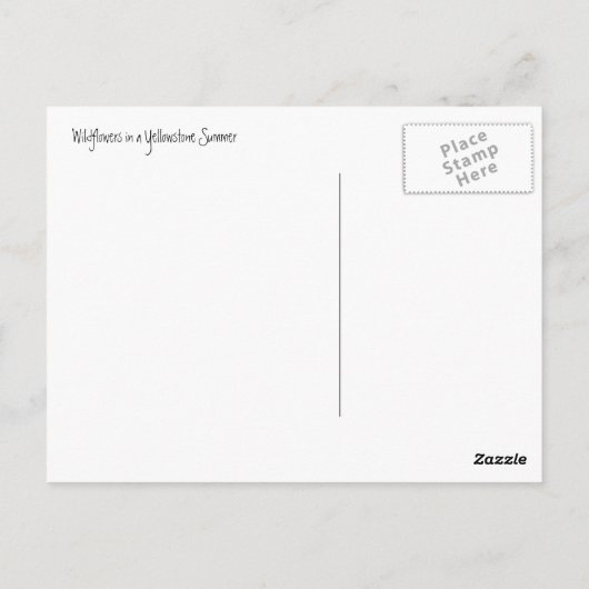 Yellowstone Sommer Postkarte (Rückseite)