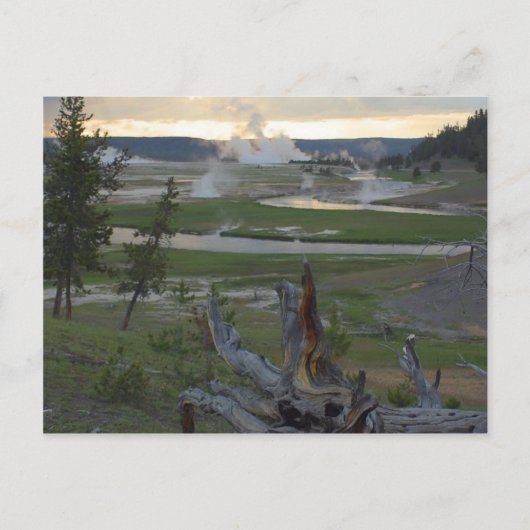 Yellowstone Sunsets Postkarte (Vorderseite)