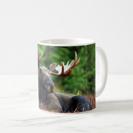 Yellowstone-Tasse Kaffeetasse (VorderseiteRechts)