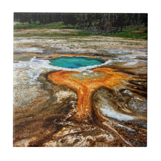Yellowstone-Thermalpool Fliese (Vorderseite)