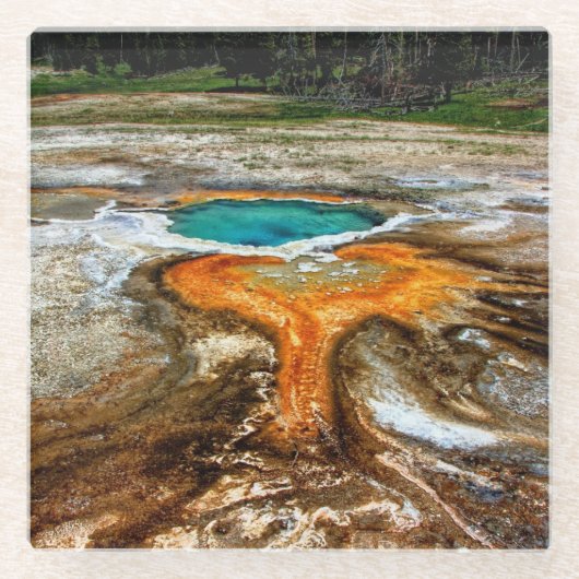 Yellowstone-Thermalpool Glasuntersetzer (Vorderseite)