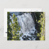 Yellowstone Wasserfall Postkarte (Vorne/Hinten)