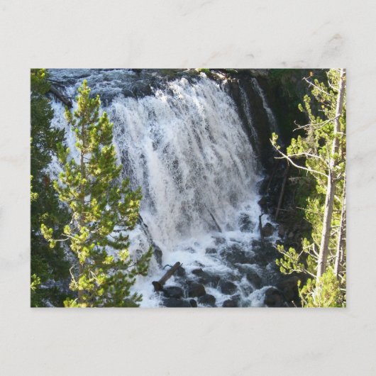 Yellowstone Wasserfall Postkarte (Vorderseite)